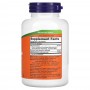 Double Strength Milk Thistle Extract / БЯЛ ТРЪН ЕКСТРАКТ 300 мг 200 веге капсули | Now Foods Изображение 1