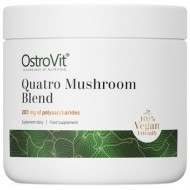 ЛЪВСКА ГРИВА - РЕЙШИ - КОДИЦЕПС - ЧАГА на прах 100 гр OSTROVIT